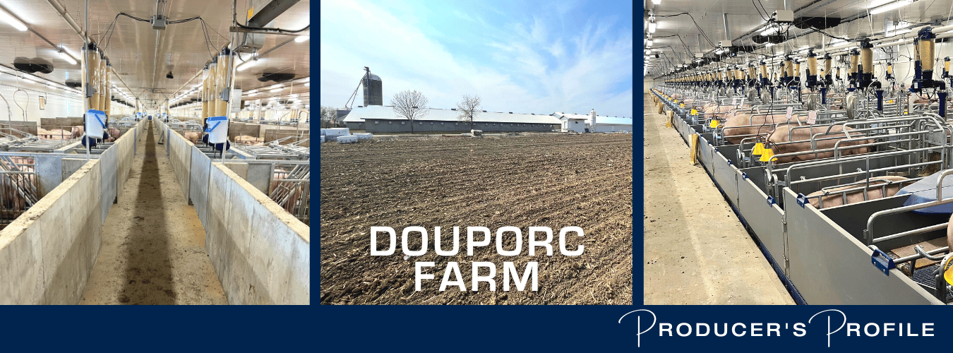 生产商的资料:Douporc农场